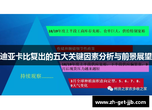 迪亚卡比复出的五大关键因素分析与前景展望 迪亚卡比复出的五大关键因素分析与前景展望